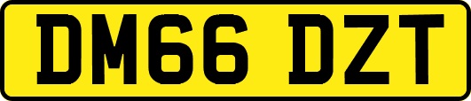 DM66DZT