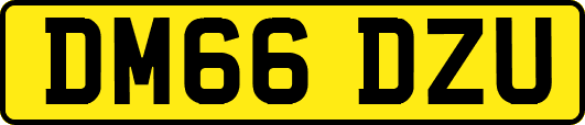 DM66DZU