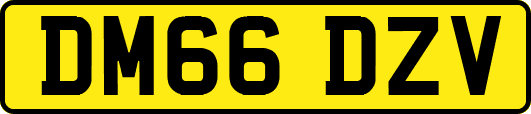 DM66DZV