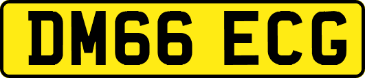 DM66ECG