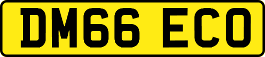 DM66ECO