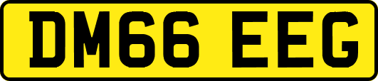 DM66EEG