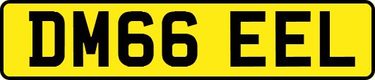 DM66EEL