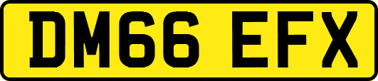 DM66EFX