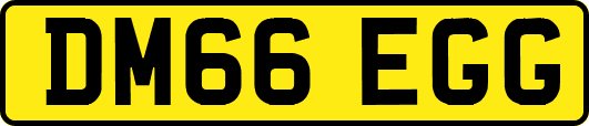 DM66EGG