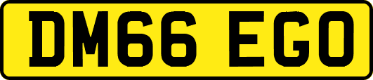 DM66EGO