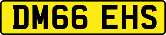 DM66EHS