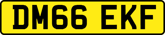 DM66EKF