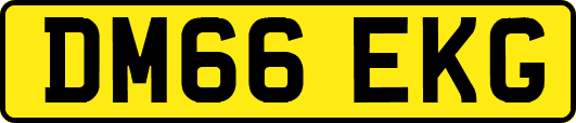 DM66EKG