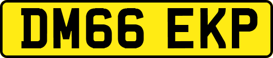 DM66EKP