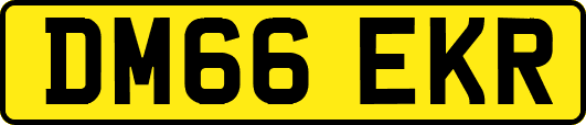 DM66EKR