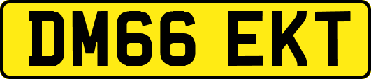 DM66EKT
