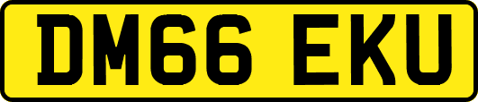 DM66EKU