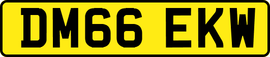 DM66EKW