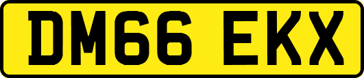 DM66EKX