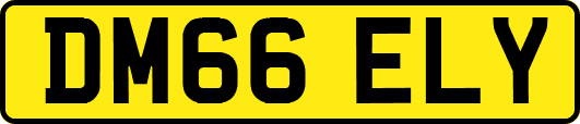 DM66ELY