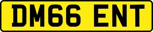 DM66ENT