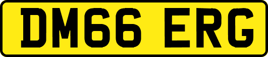 DM66ERG