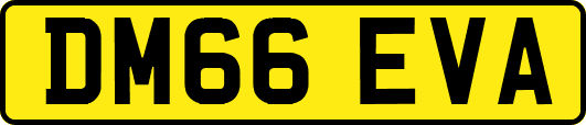 DM66EVA