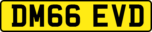 DM66EVD