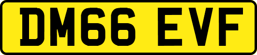 DM66EVF