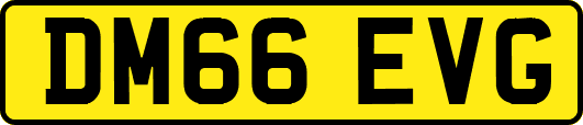 DM66EVG