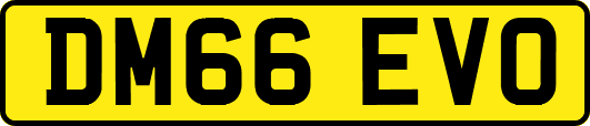 DM66EVO