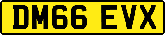 DM66EVX