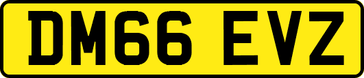 DM66EVZ