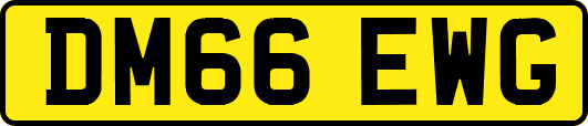 DM66EWG