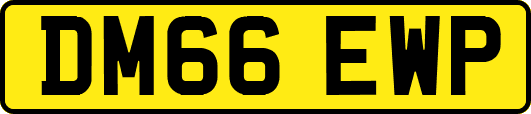 DM66EWP