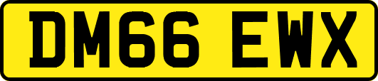 DM66EWX