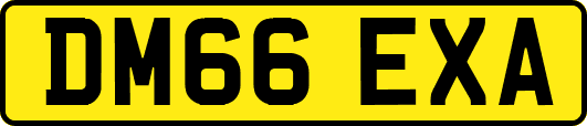 DM66EXA