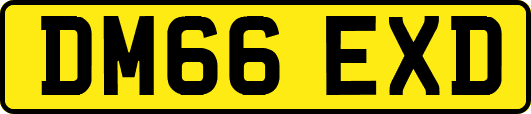 DM66EXD