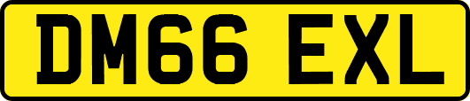 DM66EXL