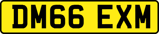 DM66EXM