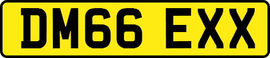 DM66EXX