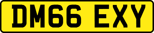 DM66EXY