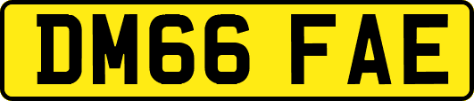 DM66FAE