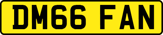 DM66FAN