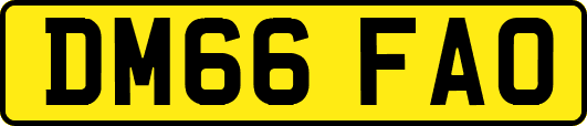 DM66FAO
