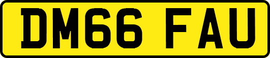 DM66FAU