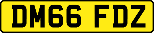 DM66FDZ