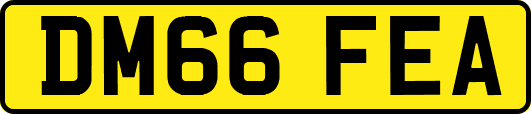DM66FEA