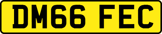 DM66FEC