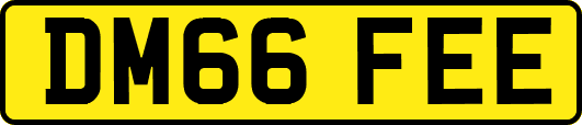 DM66FEE