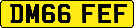 DM66FEF