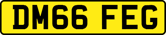 DM66FEG