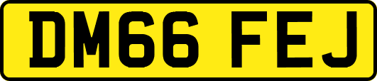 DM66FEJ