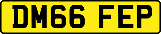 DM66FEP